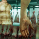 Illustration for article titled emResident Evil 6/em Meat Stunt Might Make You Lose Your Lunch